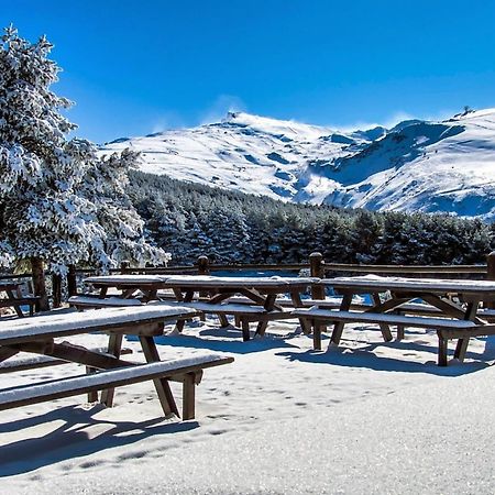 Todosierranevada Zona Baja - Apartamentos De 4 Dormitorios - Junto A Los Telecabinas Сьерра-Невада Экстерьер фото